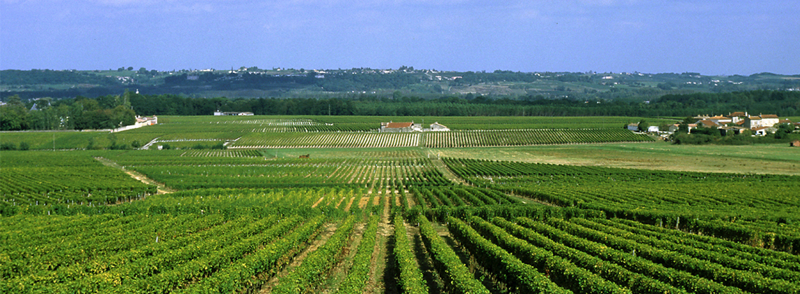 7 Things To Know About Côtes de Bourg