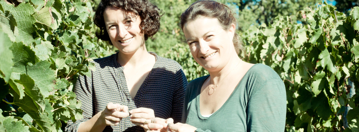 All In A Day’s Harvest: Harvesting The Bordeaux Blanc Of Château Thieuley