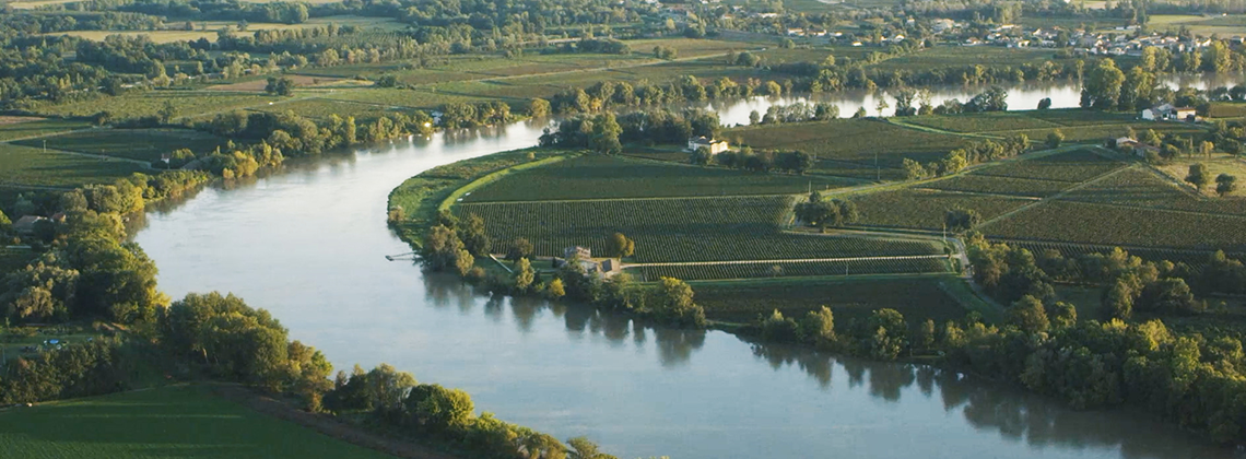 « 1 minute, 1 vignoble », la promenade oenotouristique de France Télévisions