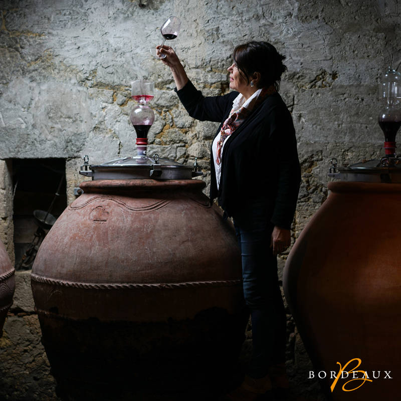 VinRouge-Vigneron-Savoirfaire-Vinification