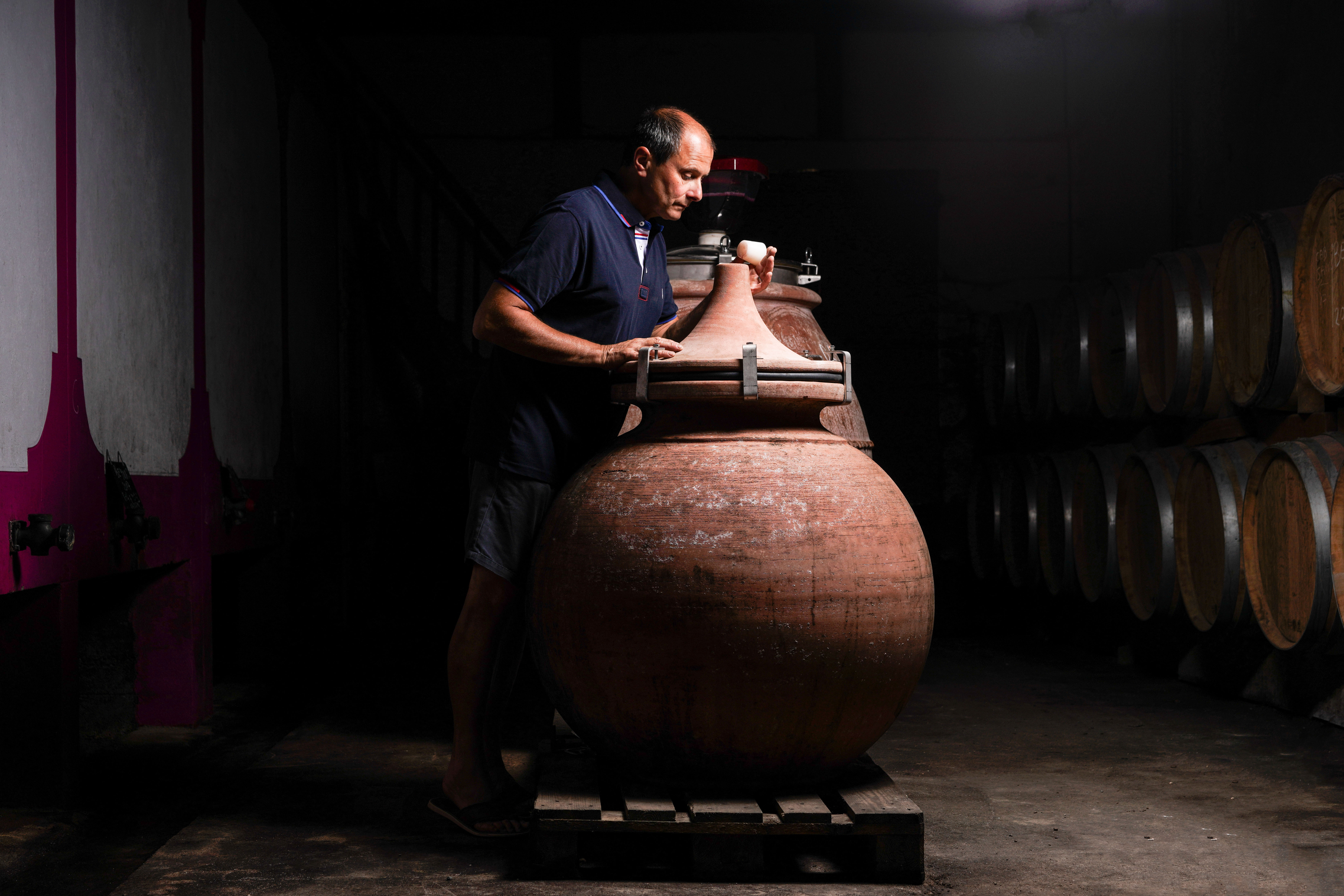 vigneron presse cave