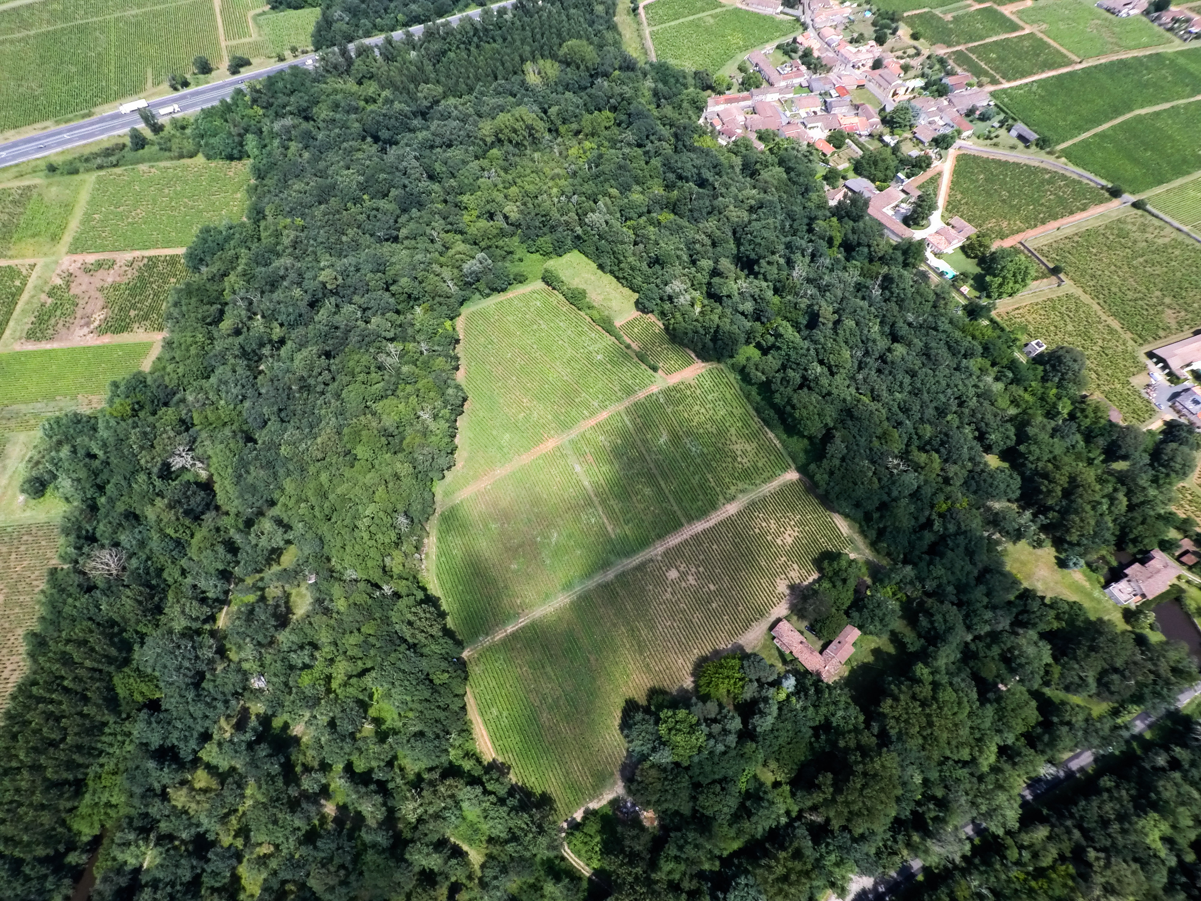 drone natuur velden