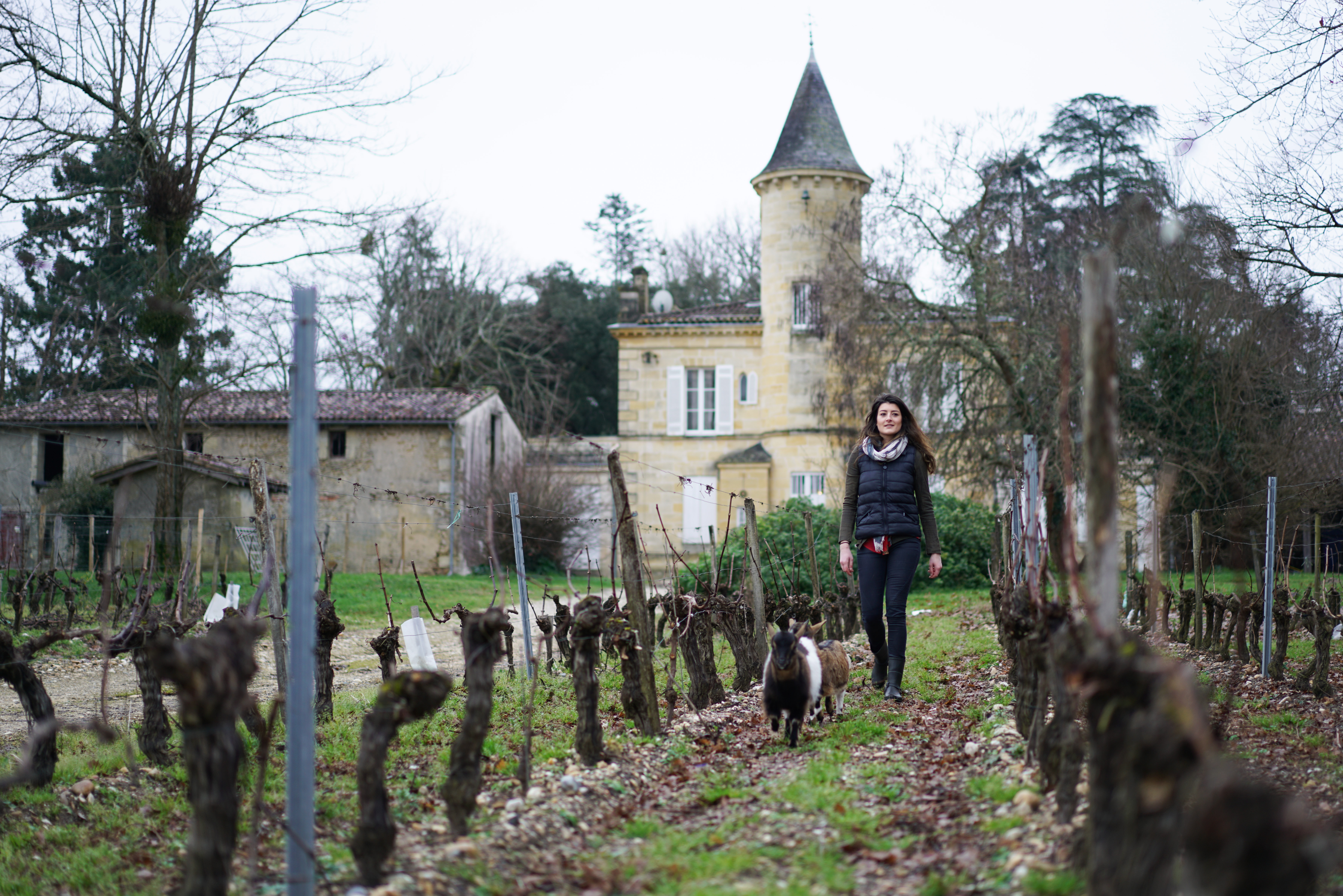 vigneronne vignoble chèvre